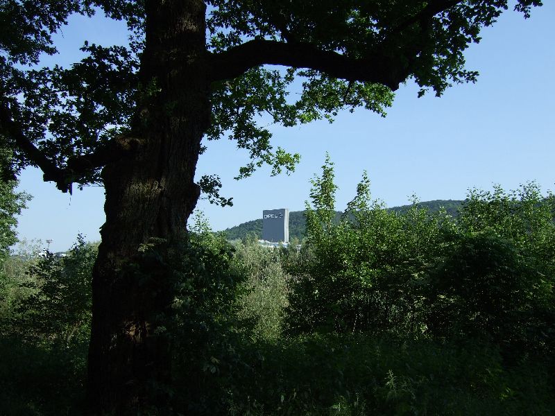2011- 040.jpg